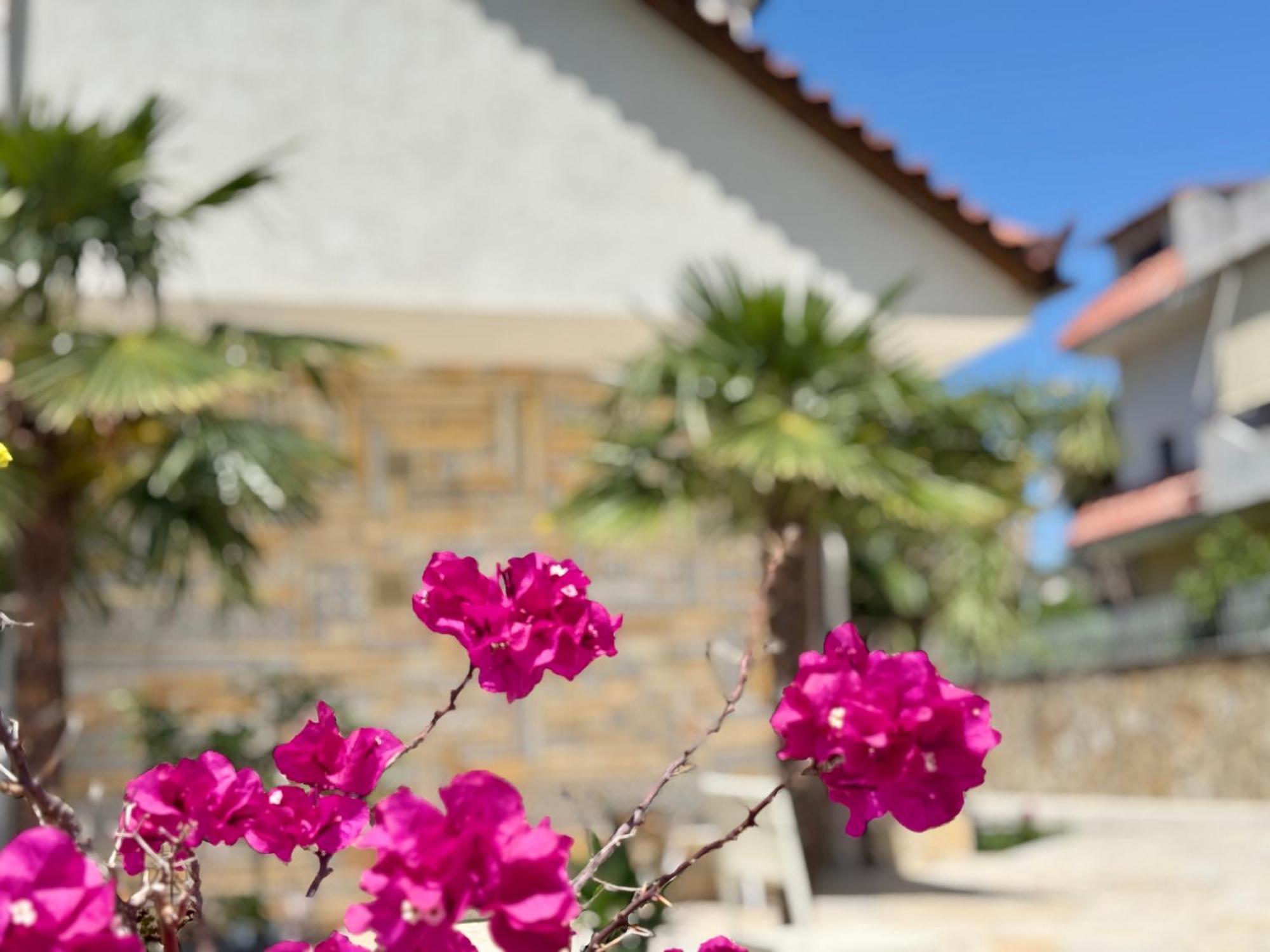 Villa Ida Apartments Vlorë Екстериор снимка