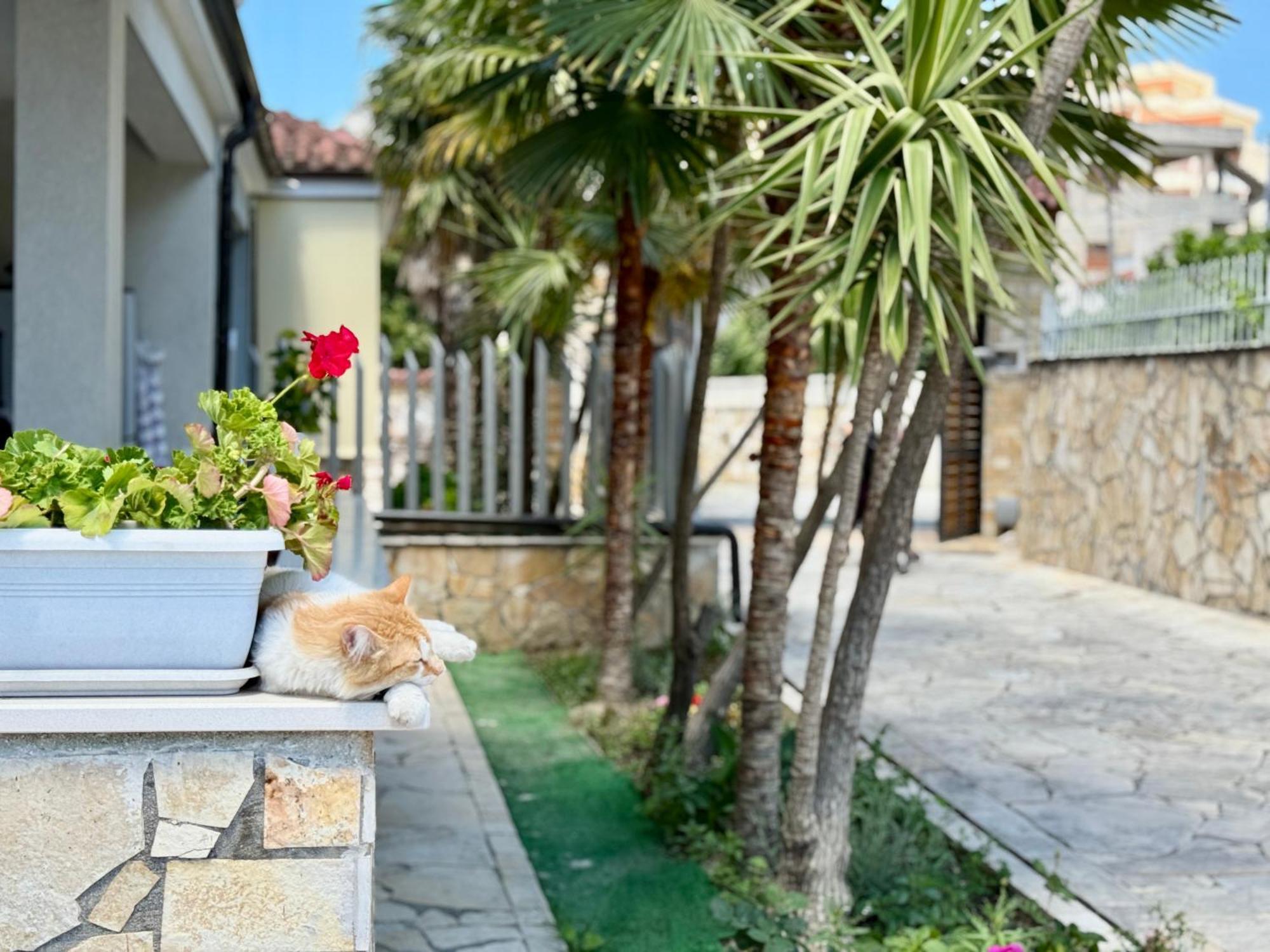 Villa Ida Apartments Vlorë Екстериор снимка