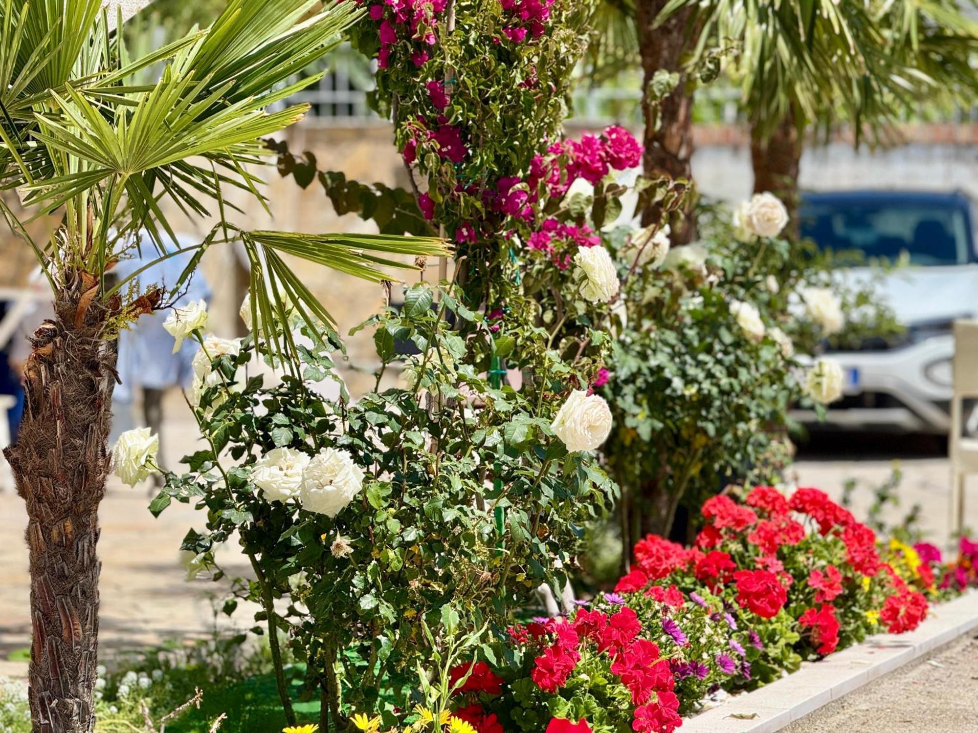 Villa Ida Apartments Vlorë Екстериор снимка